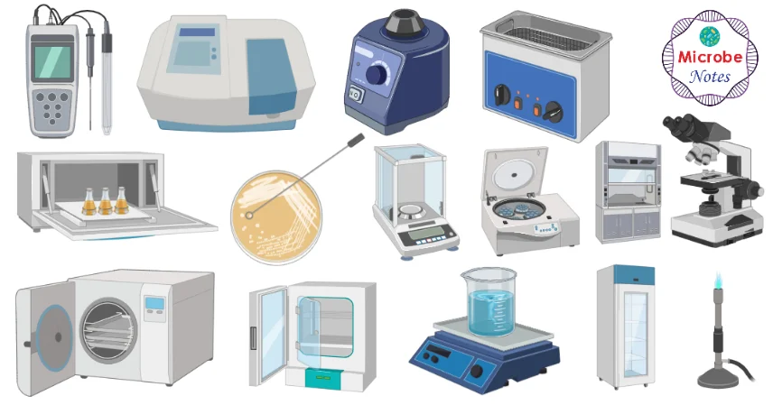 List-of-food-lab-tools-and-materials